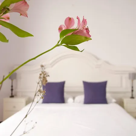 Rural Casona Santo Domingo فندق